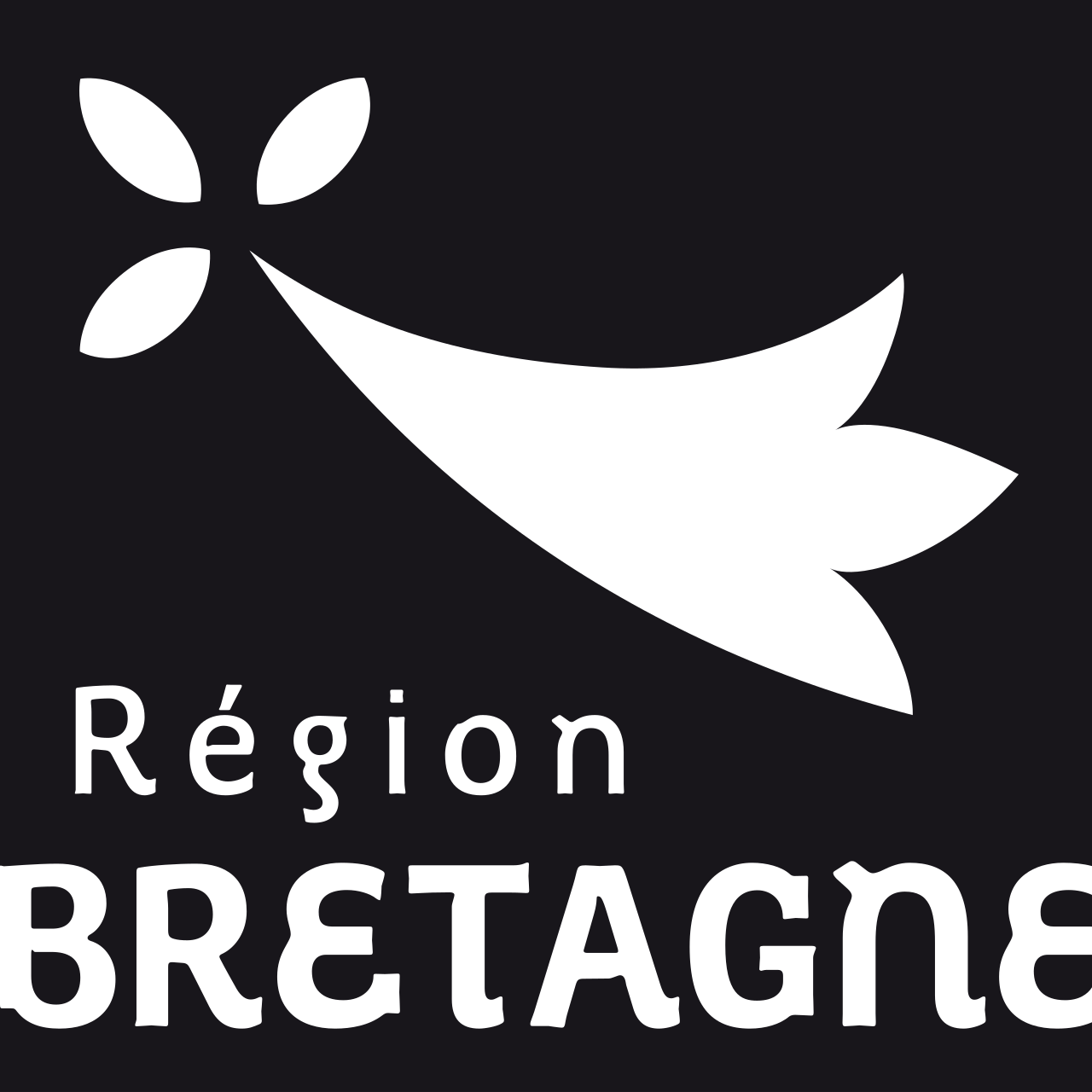 Logo conseil régional Bretagne